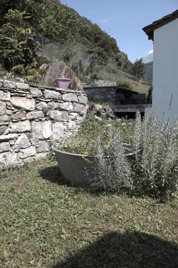 Merian Piuro Exterior foto